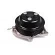 Pompe à eau HEPU P694 - Visuel 1