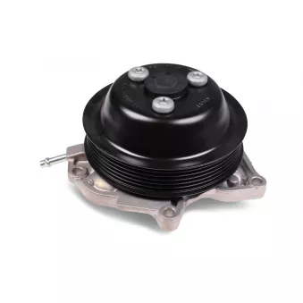 Pompe à eau HEPU P694
