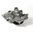Pompe à eau HEPU P694-TH - Visuel 2