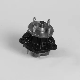 Pompe à eau HEPU P707