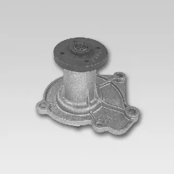 Pompe à eau HEPU P710