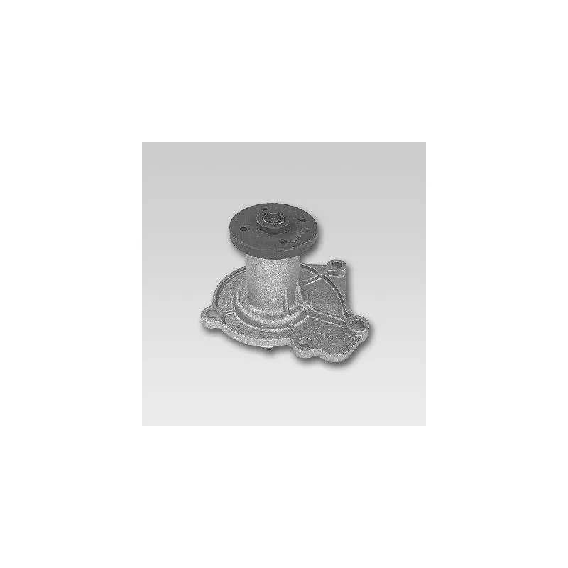 Pompe à eau HEPU P710