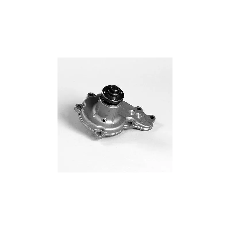 Pompe à eau HEPU P7127