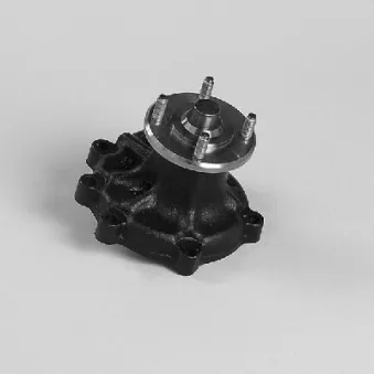 Pompe à eau HEPU P7129