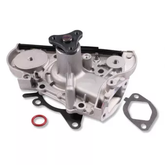 Pompe à eau HEPU P713