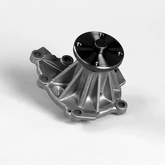 Pompe à eau HEPU P7132
