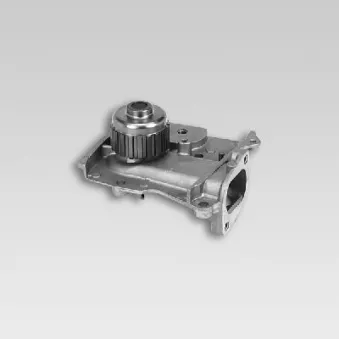 Pompe à eau HEPU P714