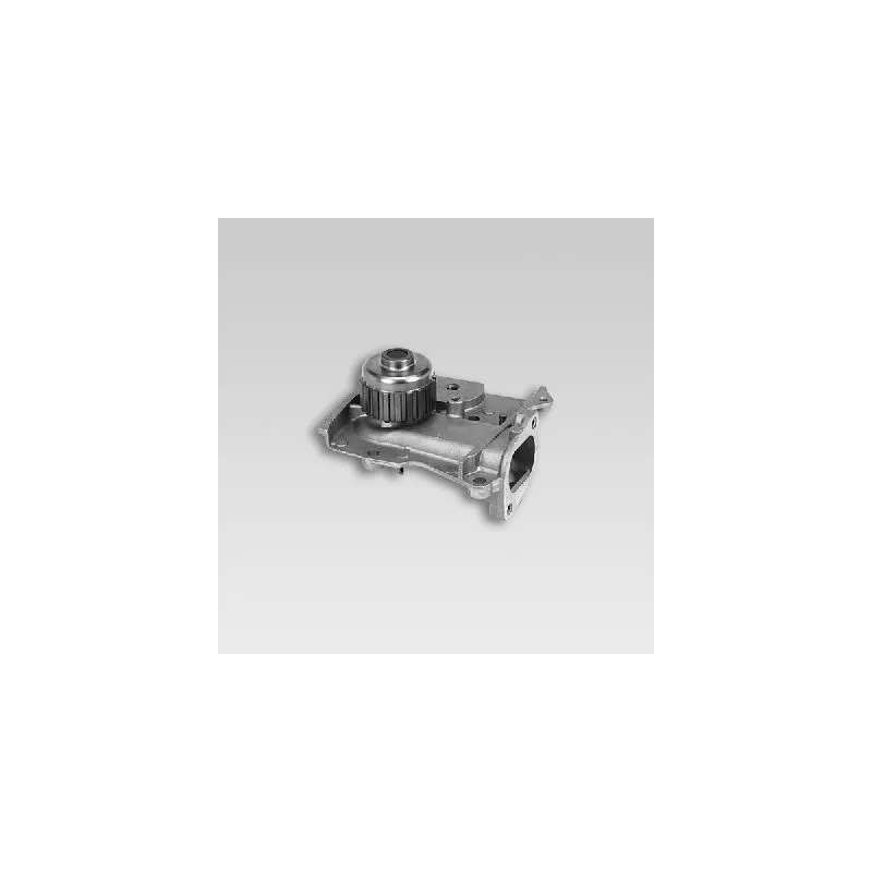 Pompe à eau HEPU P714