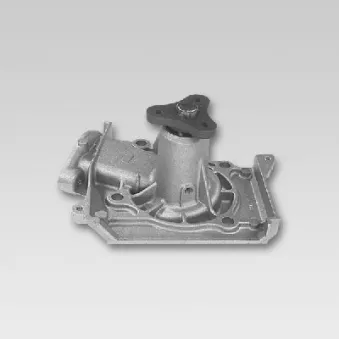 Pompe à eau HEPU P715
