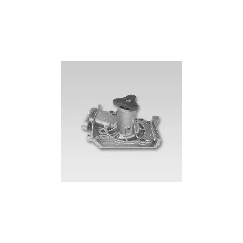 Pompe à eau HEPU P715