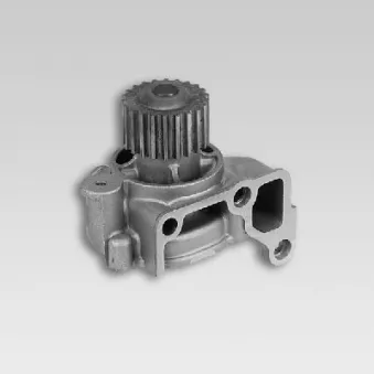 Pompe à eau HEPU P716