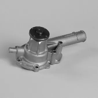 Pompe à eau HEPU P717