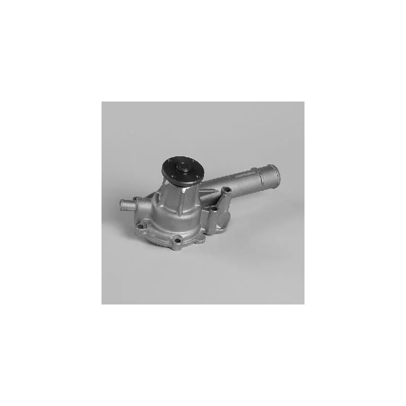 Pompe à eau HEPU P717
