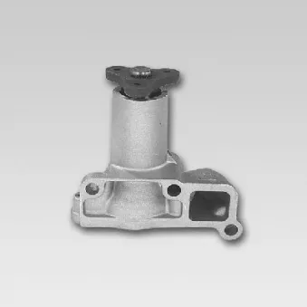 Pompe à eau HEPU P718