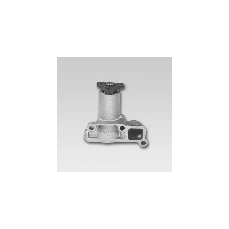 Pompe à eau HEPU P718
