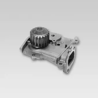 Pompe à eau HEPU P719
