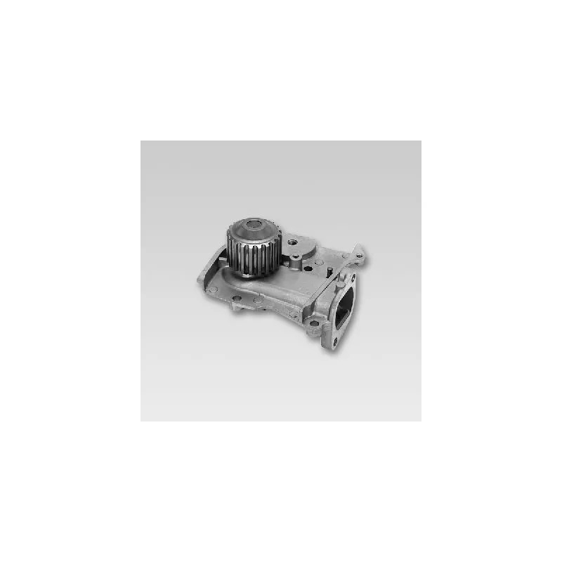 Pompe à eau HEPU P719