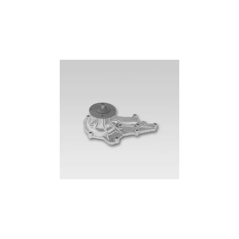 Pompe à eau HEPU P720