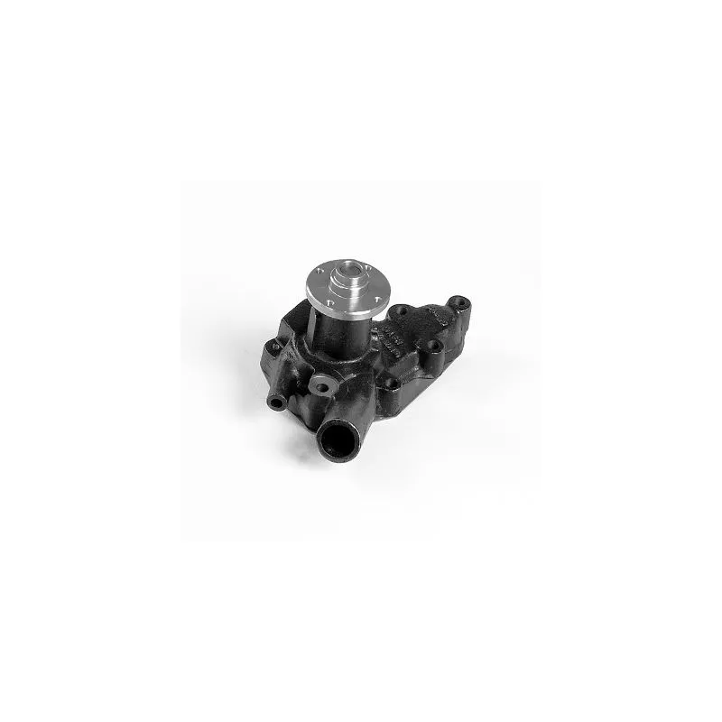 Pompe à eau HEPU P7203