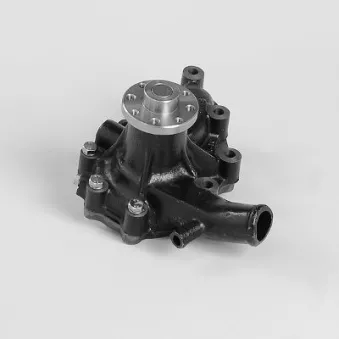 Pompe à eau HEPU P7205