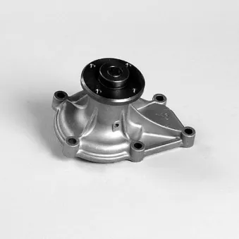 Pompe à eau HEPU P7207