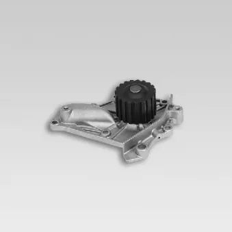 Pompe à eau HEPU P721