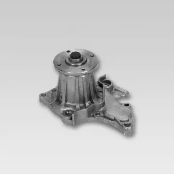 Pompe à eau HEPU P722