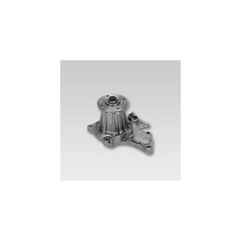 Pompe à eau HEPU P722