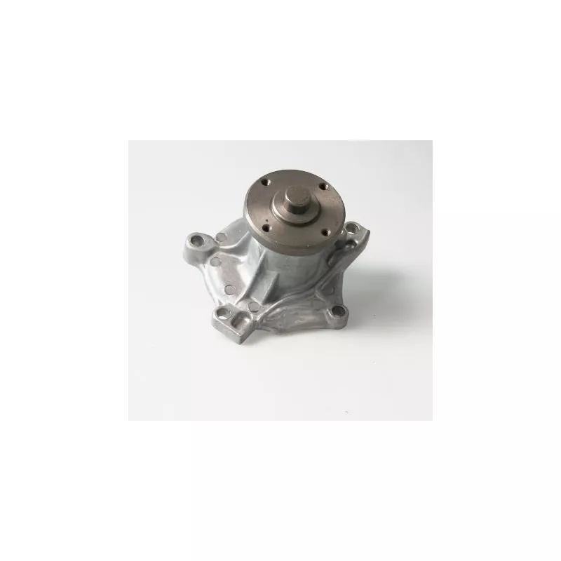 Pompe à eau HEPU P7223