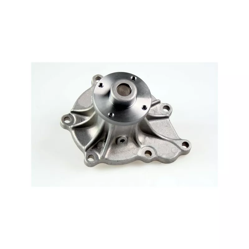 Pompe à eau HEPU P7225