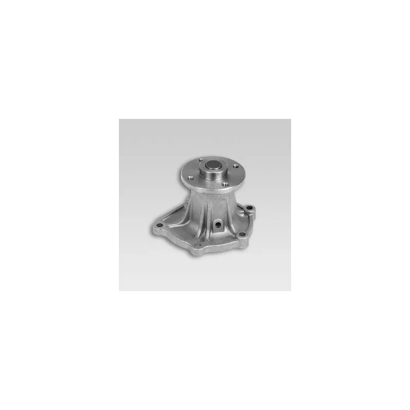 Pompe à eau HEPU P723