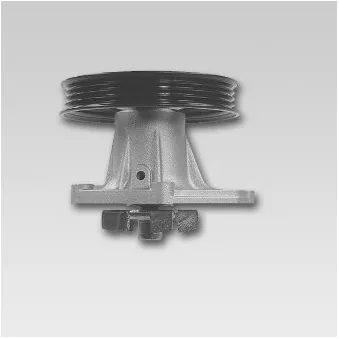 Pompe à eau HEPU P723P