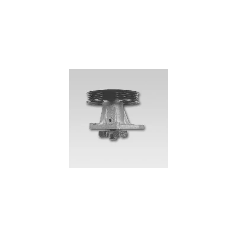 Pompe à eau HEPU P723P