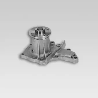 Pompe à eau HEPU P724