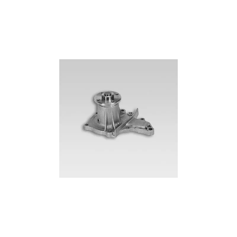 Pompe à eau HEPU P724