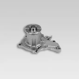 Pompe à eau HEPU P725