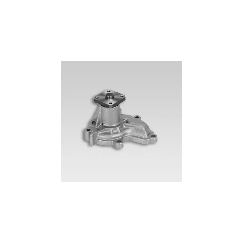 Pompe à eau HEPU P735