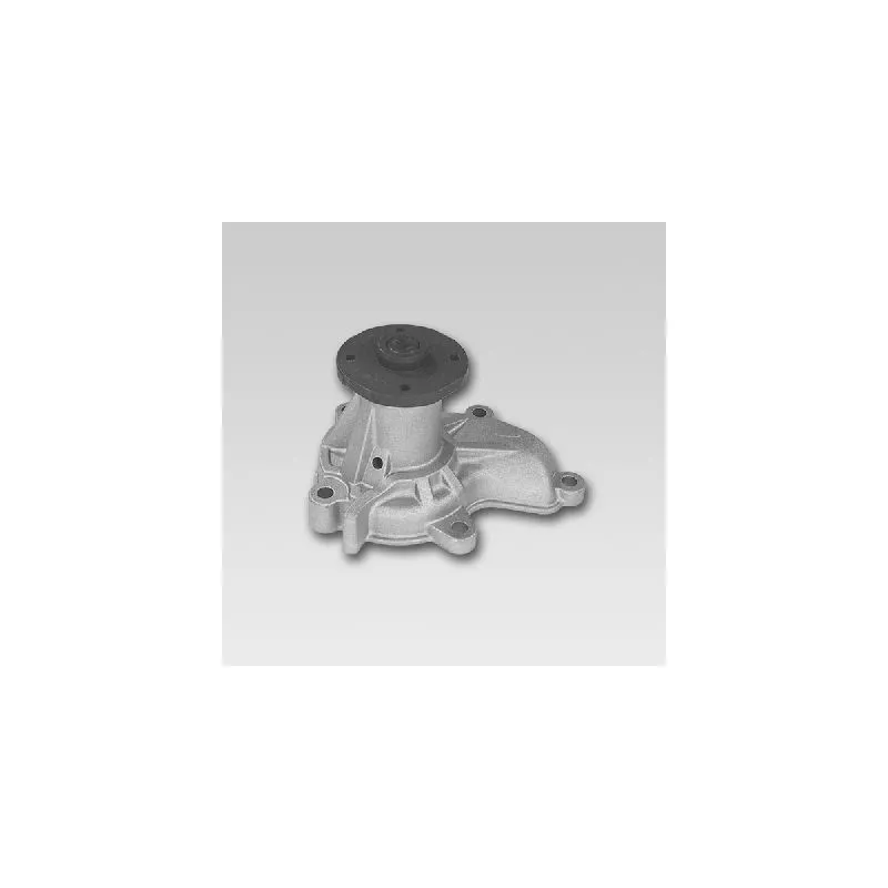 Pompe à eau HEPU P7352
