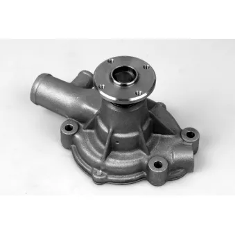 Pompe à eau HEPU P7355