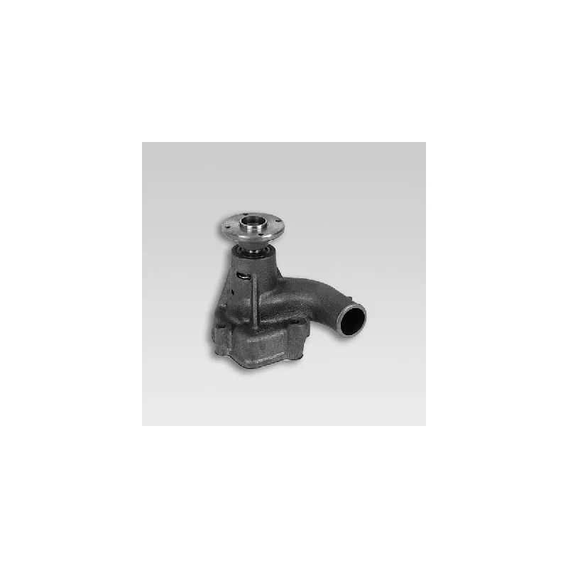Pompe à eau HEPU P7359
