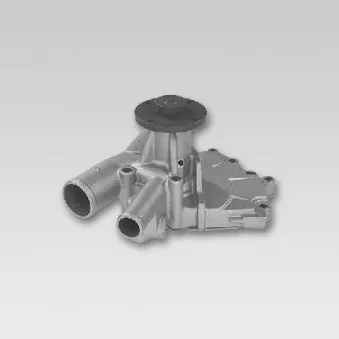 Pompe à eau HEPU P736