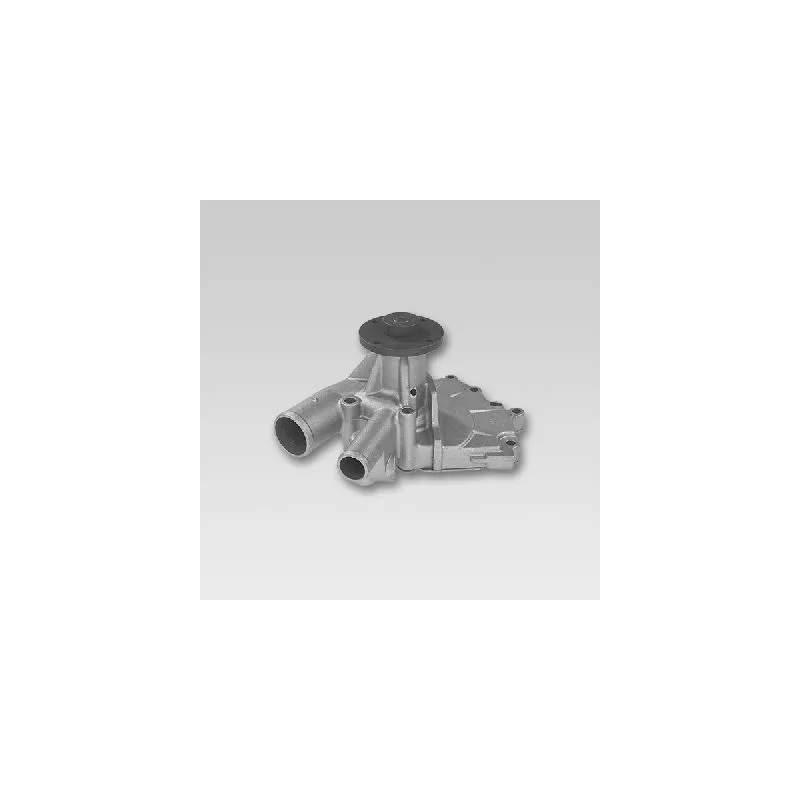 Pompe à eau HEPU P736