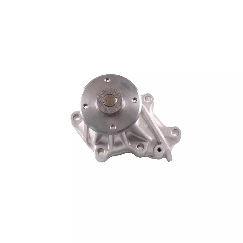 Pompe à eau HEPU P7363
