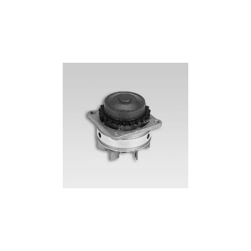 Pompe à eau HEPU P737