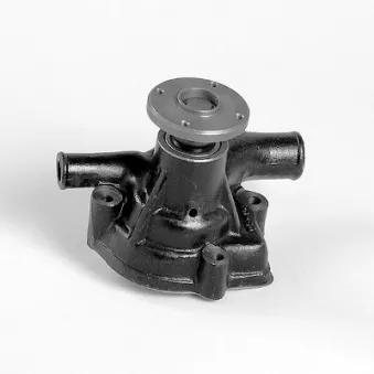 Pompe à eau HEPU P7373