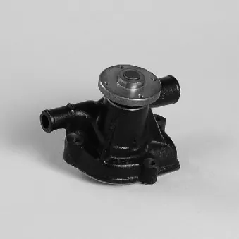 Pompe à eau HEPU P7374