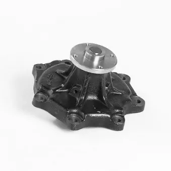 Pompe à eau HEPU P7377