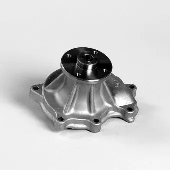 Pompe à eau HEPU P7379