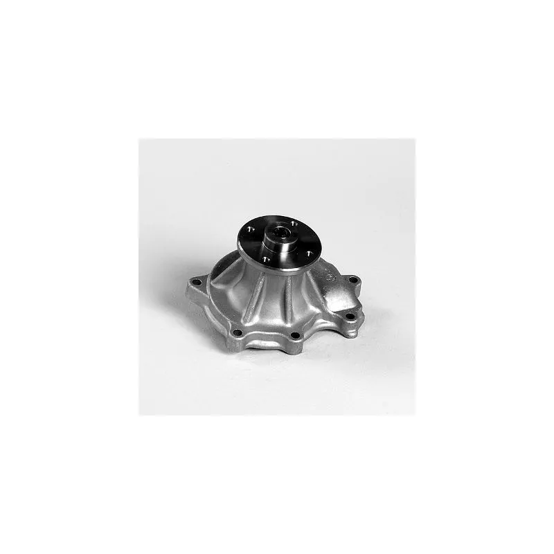 Pompe à eau HEPU P7379