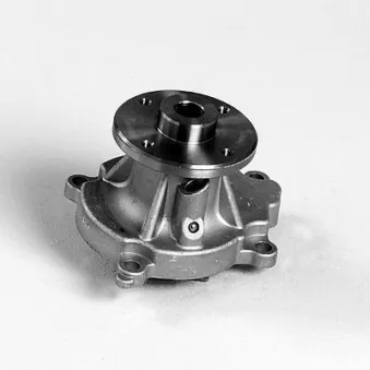 Pompe à eau HEPU P7381